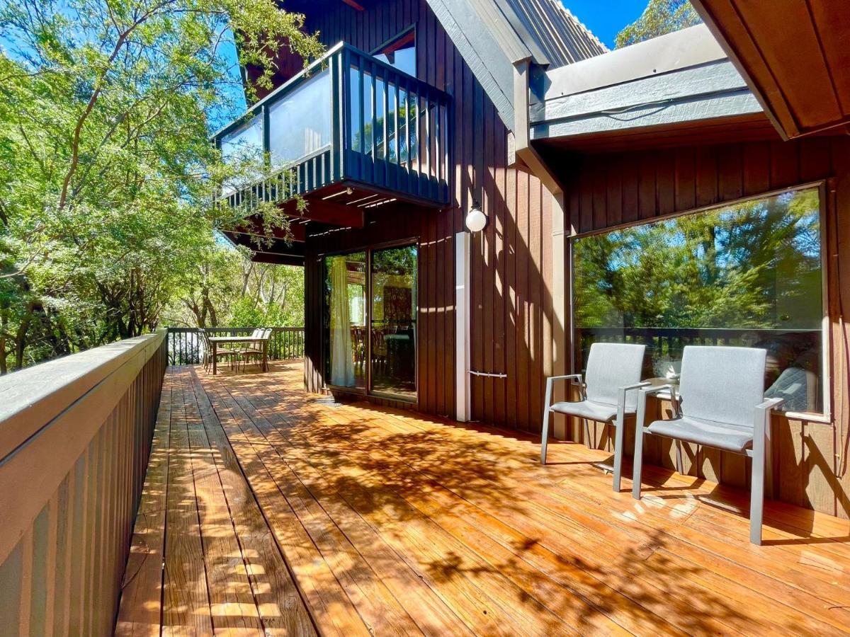 Sublime Cedar Lodge Leura Extérieur photo
