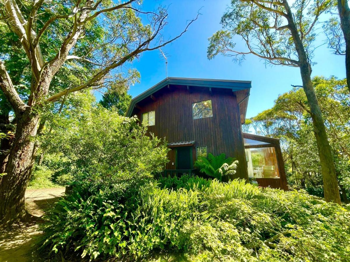 Sublime Cedar Lodge Leura Extérieur photo