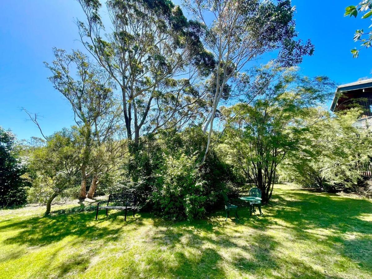 Sublime Cedar Lodge Leura Extérieur photo