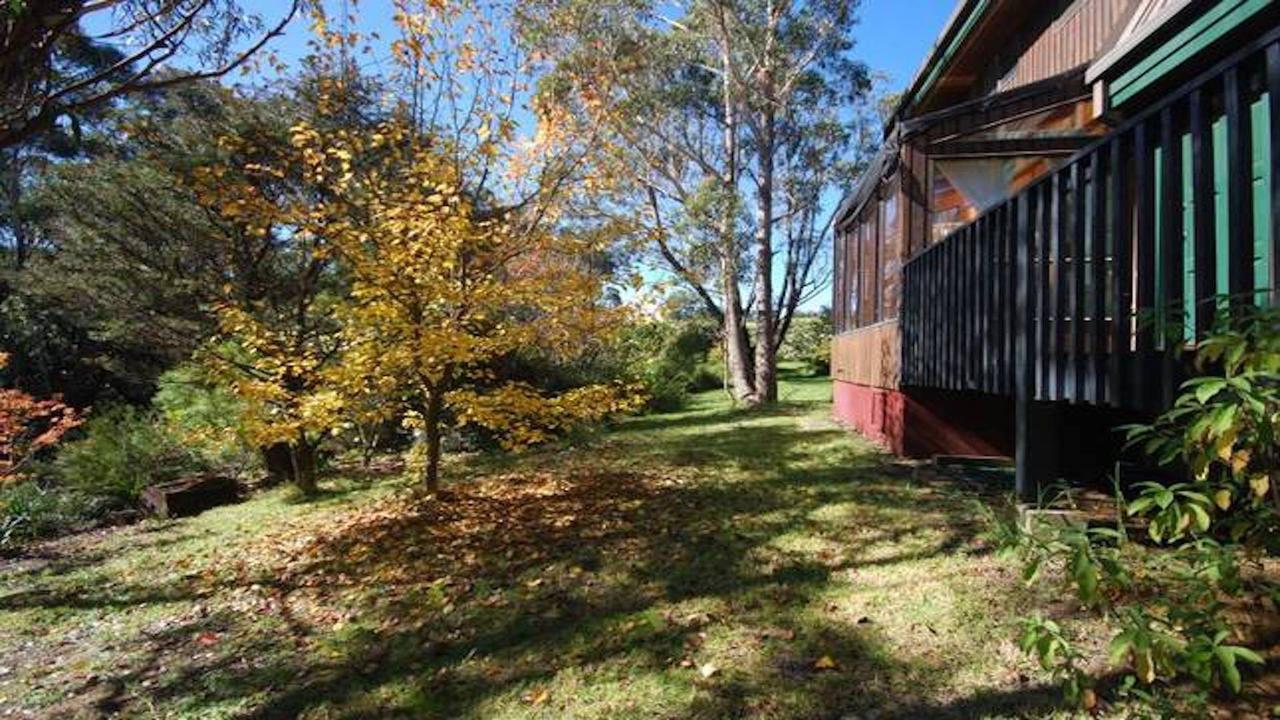 Sublime Cedar Lodge Leura Extérieur photo